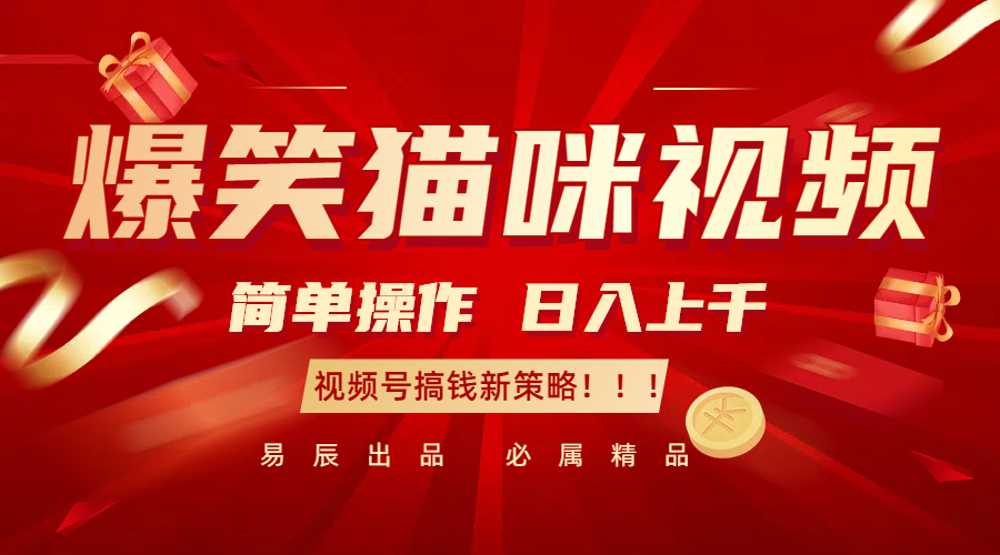 爆笑猫咪视频：简单操作，日入过千，视频号搞钱新策略！-热点1站 - 热点知汇专注网赚项目资源知识聚汇