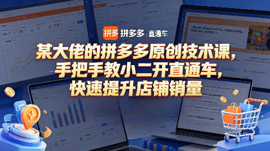 某大佬的拼多多原创技术课，手把手教小二开直通车，快速提升店铺销量-盟主1站 - 热点知汇专注网赚项目资源知识聚汇