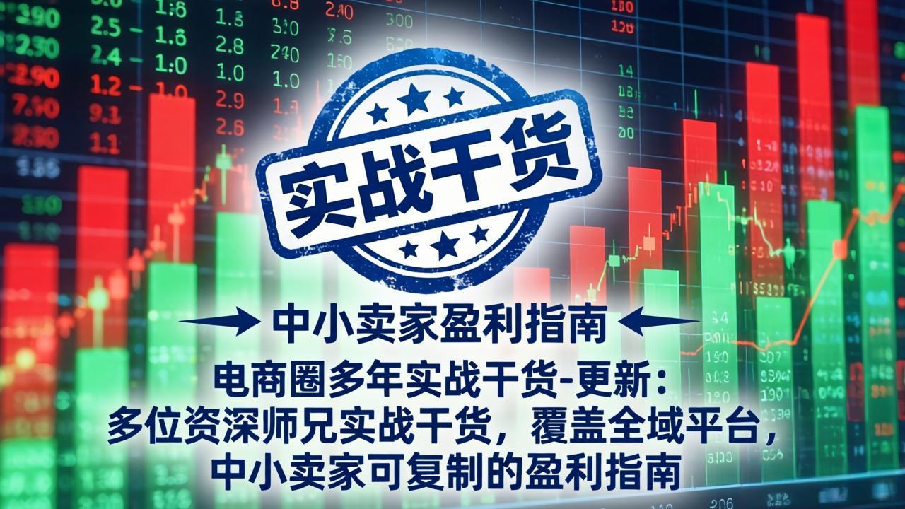 电商圈多年实战干货-更新4月27：多位资深师兄实战干货/覆盖全域平台，中小卖家可复制的盈利指南-盟主1站 - 热点知汇专注网赚项目资源知识聚汇