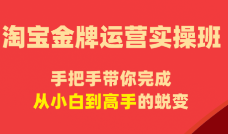 飓风电商·淘宝金牌运营实操班-盟主1站 - 热点知汇专注网赚项目资源知识聚汇