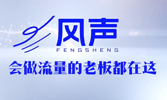董十一·风声短视频AI获客年度会员-盟主1站 - 热点知汇专注网赚项目资源知识聚汇