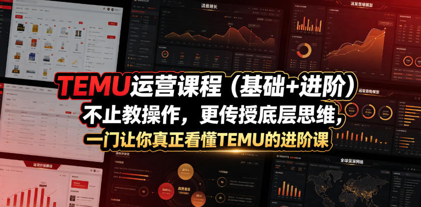 TEMU运营课程(基础+进阶)，不止教操作，更传授底层思维，一门让你真正看懂TEMU的进阶课-盟主1站 - 热点知汇专注网赚项目资源知识聚汇