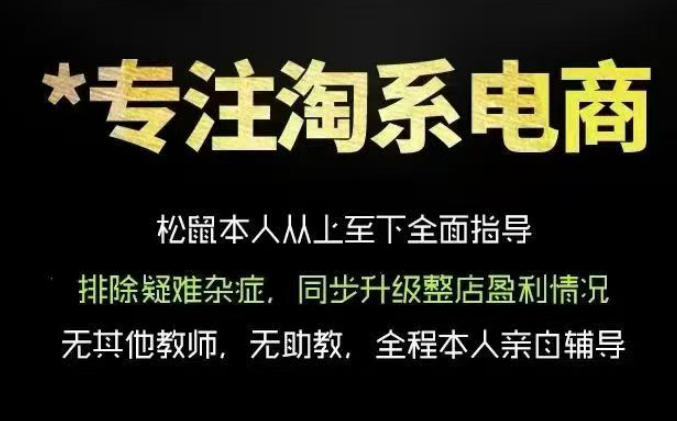 松鼠会电商VIP课程，从基础布局到高阶优化，助你掌握淘宝运营逻辑，提升店铺流量与转化(更新0809)-盟主1站 - 热点知汇专注网赚项目资源知识聚汇