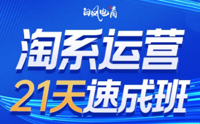 白凤电商·淘系运营21天速成班(更新8月)-盟主1站 - 热点知汇专注网赚项目资源知识聚汇