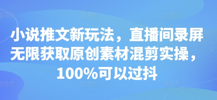 小说推文新玩法，直播间录屏无限获取原创素材混剪实操，100%可以过抖-热点1站 - 热点知汇专注网赚项目资源知识聚汇
